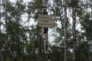 Crown of the Ema spoil heap with the afforested part (6.8.2020)
