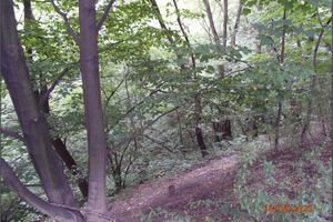 Burnt-out coal waste rock on the western slope of the Evžen spoil heap (condition as of 18.8.2020)