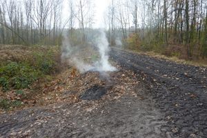 Burning waste rock near the local access road on the southern part of the Hedvika spoil heap (08/2017)