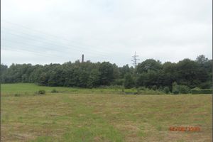View of the northeastern side of the Hedvika spoil heap (6.8.2020)