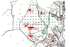 Hedvika spoil heap – sites with thermal activity in the past