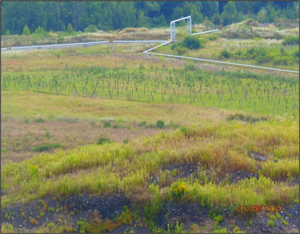 Reclamation on the southern part of the waste dump (status as of August 3, 2020)
