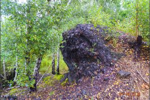 Burnt-out coal waste rock with porcellanite (porcelanite)