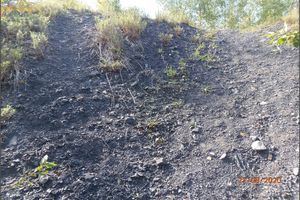 Unburnt coal waste rock on the surface of the northern slope of the southern part of the Jeremenko spoil heap