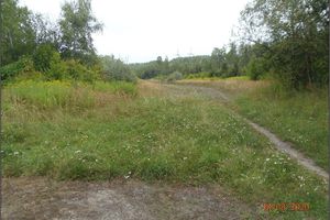 Southern part of the crown of the Oskar spoil heap (condition as of 18.8.2020)