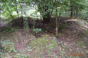 Loosely deposited piles of coal waste rock with coal fragments at the Oskar spoil heap (18.8.2020)