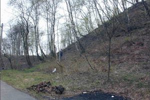 Slopes of the Stachanov spoil heap near the former Stachanov Mine (condition as of 05/2003)