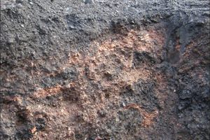 Irregularly burnt-out coal waste rock at the Václav spoil heap (condition as of 06/2010)