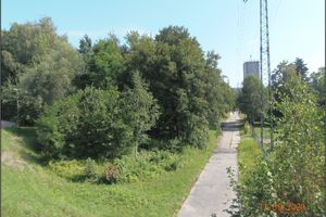 Východní část odvalu Žofie (11.8.2020)